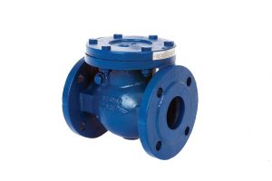 Check Valve